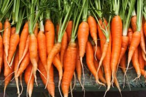 carrots high in beta carotene
